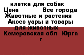 клетка для собак  › Цена ­ 3 700 - Все города Животные и растения » Аксесcуары и товары для животных   . Кемеровская обл.,Юрга г.